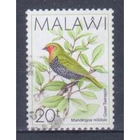 [1219] Малави 1988. Фауна.Птицы. Гашеная марка. 2