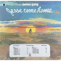 James Gang – Jesse Come Home, LP 1976