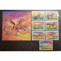 Танзания. 1993 год. Фауна. Лошади (блок и 7 марок) (1138)