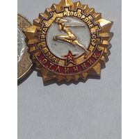 Значок " ГТО отличник "