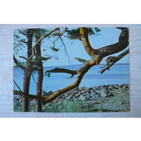 Прибалтика, Латвийская ССР, Море у Туи; чистая.