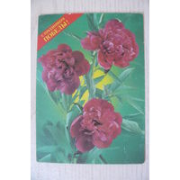 Костенко П., С праздником Победы! 1991, 1992, чистая, ДМПК.