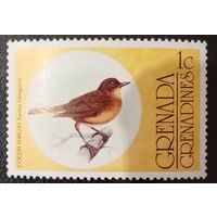 Гренада. Фауна. Птицы. Cocoa Trush