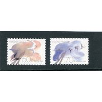 Нидерланды. Фауна Ваттового моря, мелководье