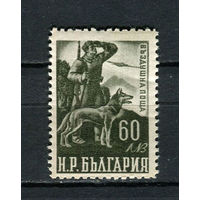 Болгария - 1949 - Пограничная служба 60L. Авиамарка - [Mi.711] - 1 марка. MNH, MLH.  (Лот 15HB)-T4P48