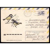 Художественный маркированный конверт СССР прошедший почту N 9579 (19.03.1974) АВИА  Синицы московки