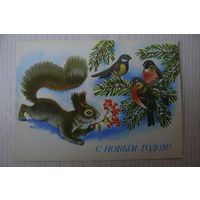 Достян Р., С Новым годом! 1990, 1991, чистая (белка, снегирь, синица).
