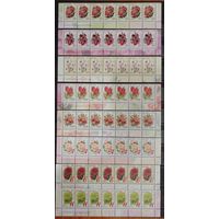 Марки Беларуси 2008, Двенадцатый стандарт Садовые цветы в нижних сцепках, номера заказов подряд, КМ 738-743, 263 - 2008 / 270 - 2008, каталог 92,3 евро