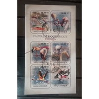 ЛИСТ ФАУНА ПТИЦЫ  СТО