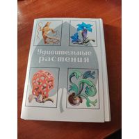 Удивительные растения. Набор открыток, 32 штуки. / Д
