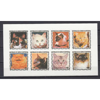 Фауна. Кошки. Экваториальная Гвинея. 1978. Малый лист. Michel N (12,8 д).