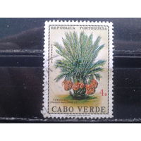 Кабо Верде, колония Португалии, 1968. Стандарт. Финиковая пальма