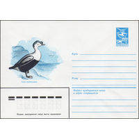 Художественный маркированный конверт СССР N 16063 (28.01.1983) Гага-гребенушка