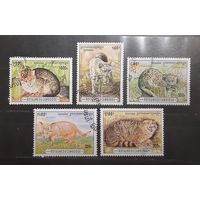 Камбоджа. 1996 год. Фауна. Дикие кошки (714)