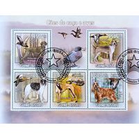 Гвинея-Биссау 2009. Породы охотничьих собак. Малый лист