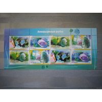 Беларусь. 2006г. Аквариумные рыбы.