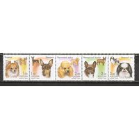 ФФ1 Россия 2000 Собаки