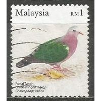 Малайзия. Изумрудный голуб. 2005г. Mi#1316.