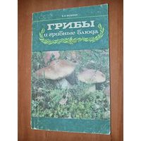 В.И.Фомина. ГРИБЫ И ГРИБНЫЕ БЛЮДА.