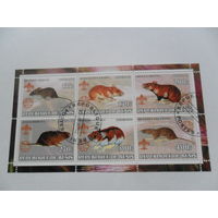 Бенин, грызуны