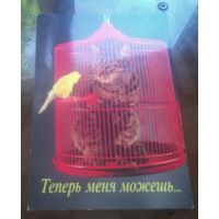 Теперь меня можешь