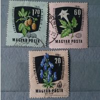 Венгрия цветы 3шт