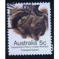 Австралия - 1981 [Mi. 754] Гашеная (AU18)