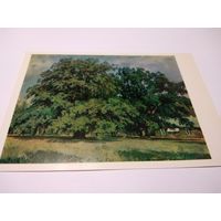 Открытка. И. И. Шишкин. Мордвиновские дубы.