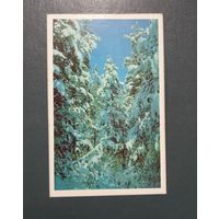 Открытка "Зимний пейзаж" фото Н.Гридина 1975г. чистая