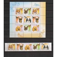 Россия.2000, 20 июля. Фауна. Декоративные породы собак.КОМПЛЕКТ**.