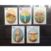 Куба. 1988 год. Флора. Грибы (гашеные и чистые марки) (952)