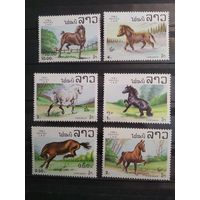 Лаос 1983 г. Лошади.