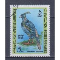 [1446] Афганистан 1965. Фауна.Птица.Фазан. Концовка серии.Гашеная марка. Кат.гаш.2,4 е.