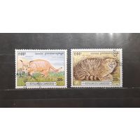 Камбоджа. 1996 год. Фауна. Дикие кошки (715)