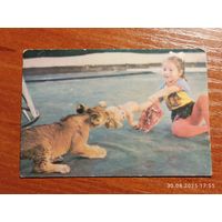 Календарик 1985 Цирк