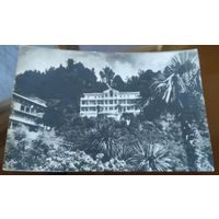 Грузия Батуми Санаторий Аджария