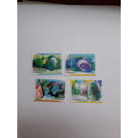 Марки Беларусь 2006 рыбы
