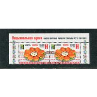 Беларусь 2016.. Гастрономия. Колдуны. РСС . Верхняя сцепка листа