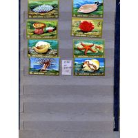 УМ АЛЬ КВАЙН, 1972, морская фауна, серия 8м, чистая