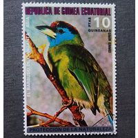 Марка Экваториальная Гвинея 1976 год Птицы