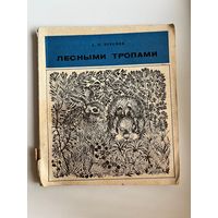 А. Курсков. Лесными тропами