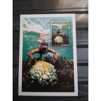 ЧАД 1996г. Морская фауна.