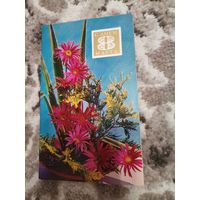 Открытка С Днём 8 марта чистая 1972