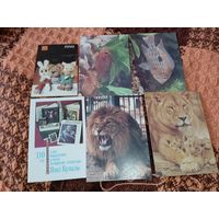 6 календариков