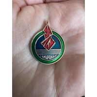 Зубронак значок ЗУБРЁНОК