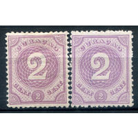 Нидерландские колонии - Кюрасао - 1889/91г. - цифры, разновидность цвета, 2 с - 2 марки - MH, чистая, без клея с маленькой точкой-утончением в центре [Mi 20]. #3-WB-89-A-1
