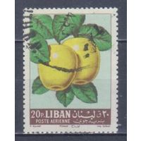 [2428] Ливан 1962. Флора.Фрукты.Плоды.Яблоки. Гашеная марка. 1