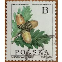 Польша 1995. Лист дуба и жолудь