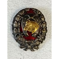Знак ранних советов Красного командира (крас.кома) кавалерийских частей РККА реплика