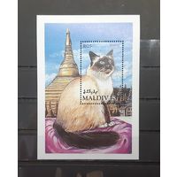 Мальдивы. Фауна. Кошки. Бирманская порода (блок) (2327)